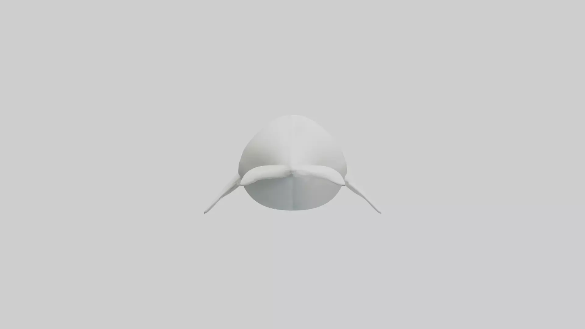 Beluga Whale swimming model Low-poly 3D model_0