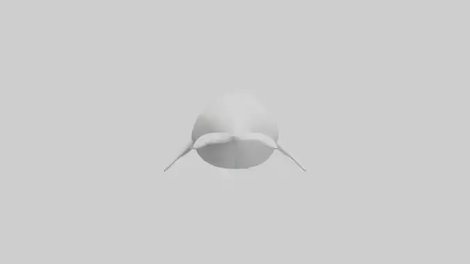 Beluga Whale swimming model Low-poly 3D model