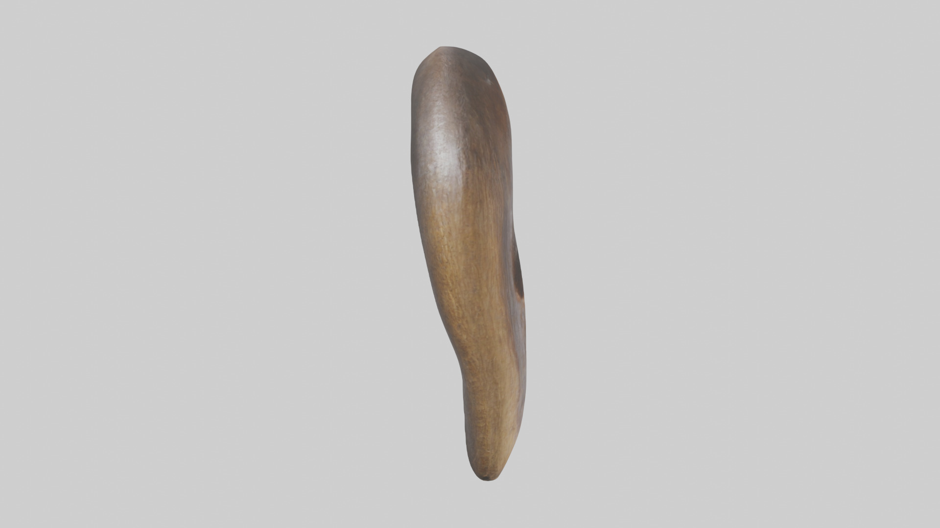 Beaver Teeth 3D model_13