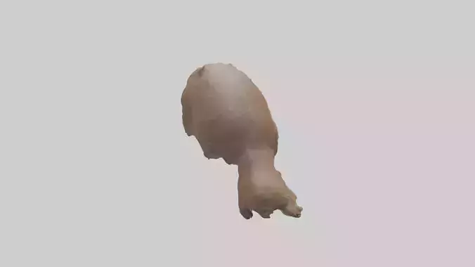 Beaver gnawing model