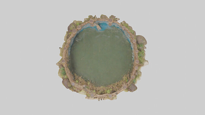 Beaver dam building model 3D model 2