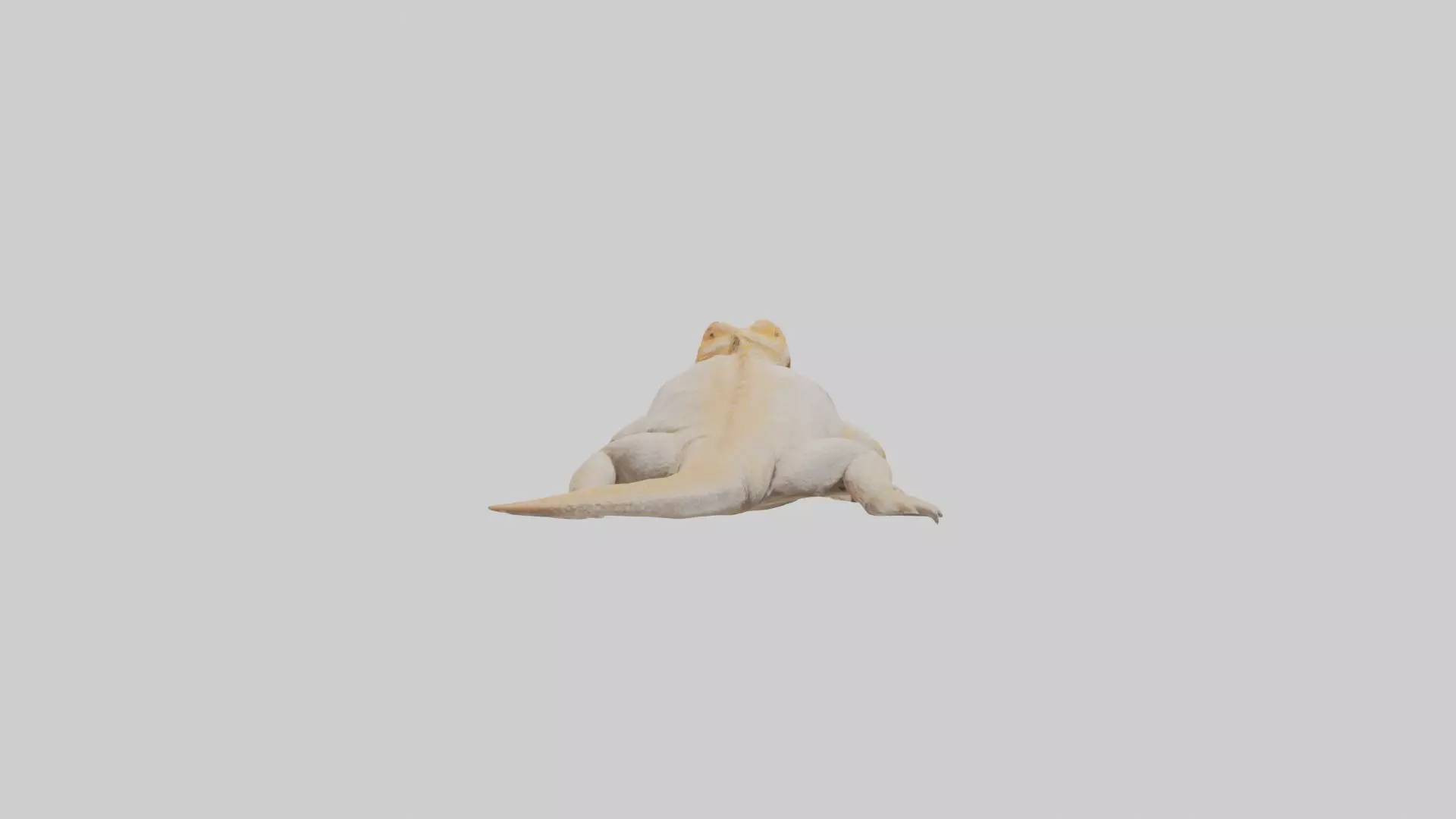 Bearded Dragon basking model 3D model_0