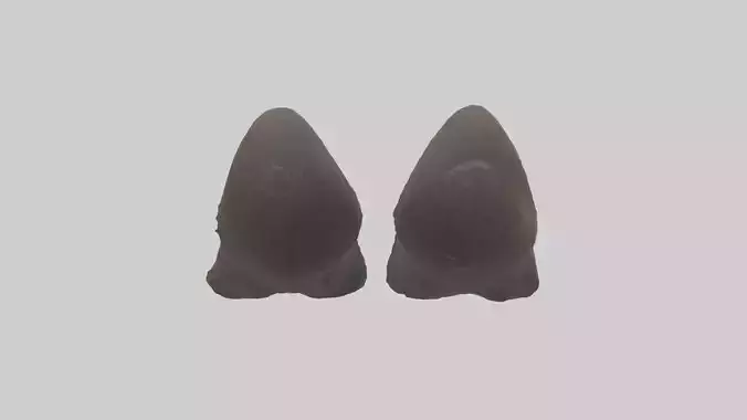 Bear Paws Model