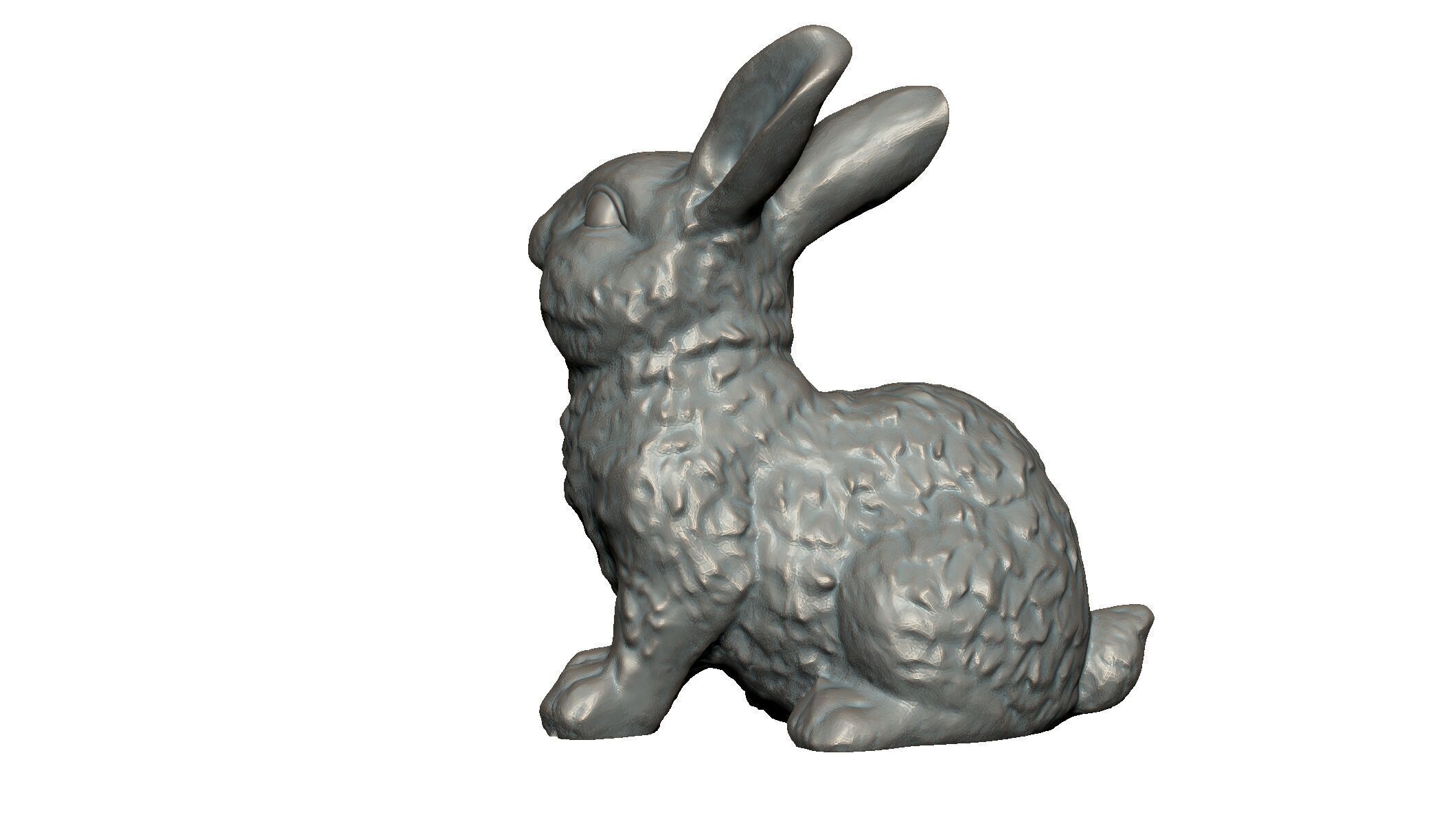 rabbit 3D print model_4