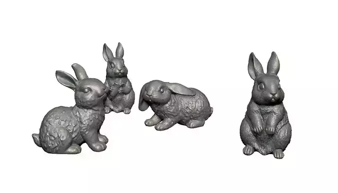 rabbit 3D Model Collection