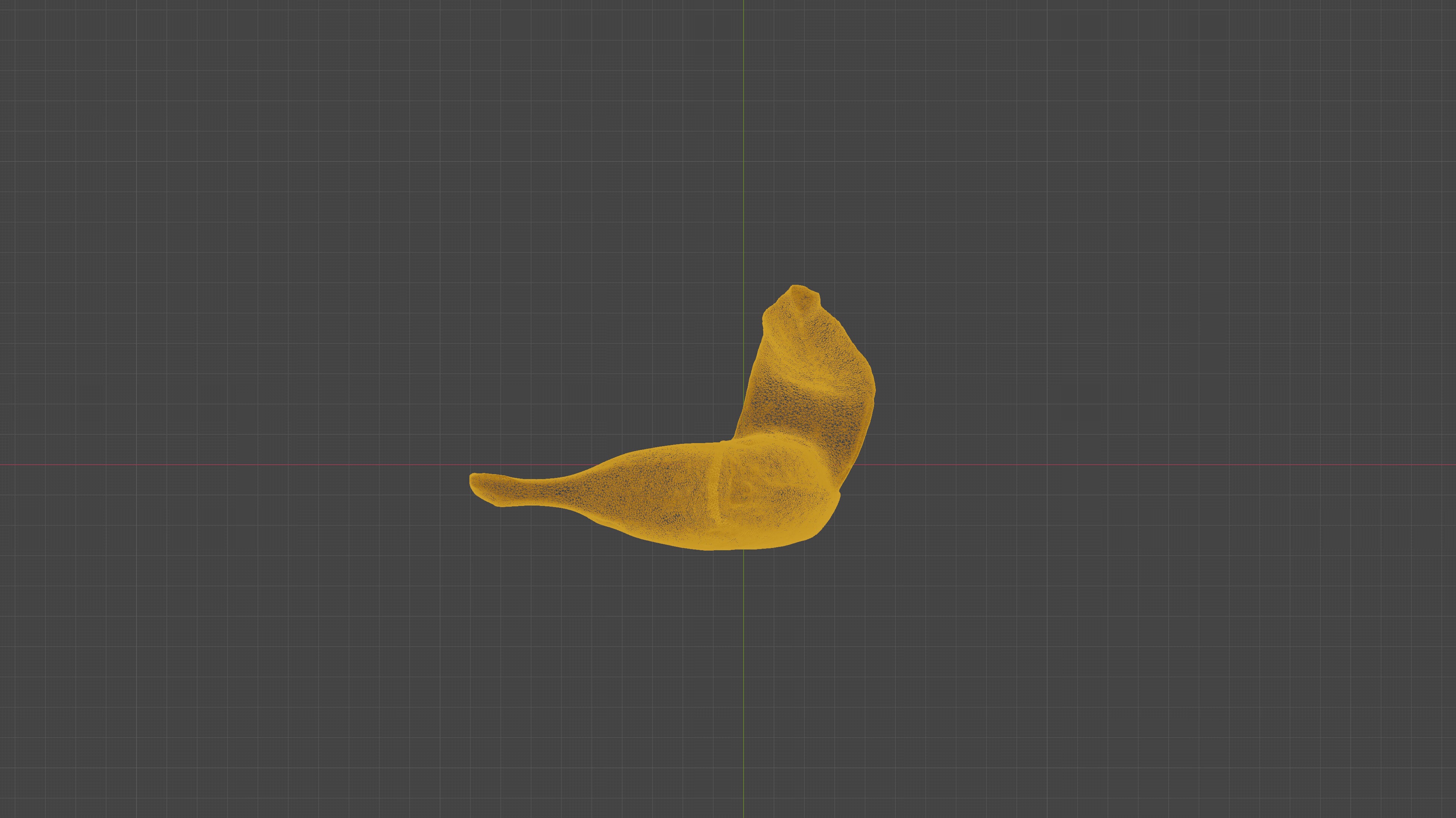 Scanned banana peel Low-poly 3D model_18