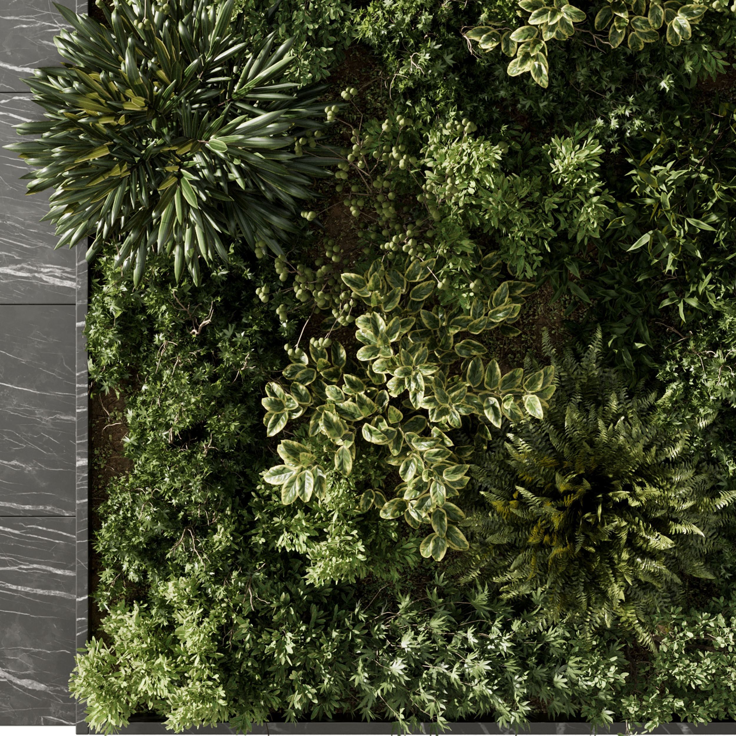 Plants set partition - Vertical Wall Garden With marble f 104 3D model_2