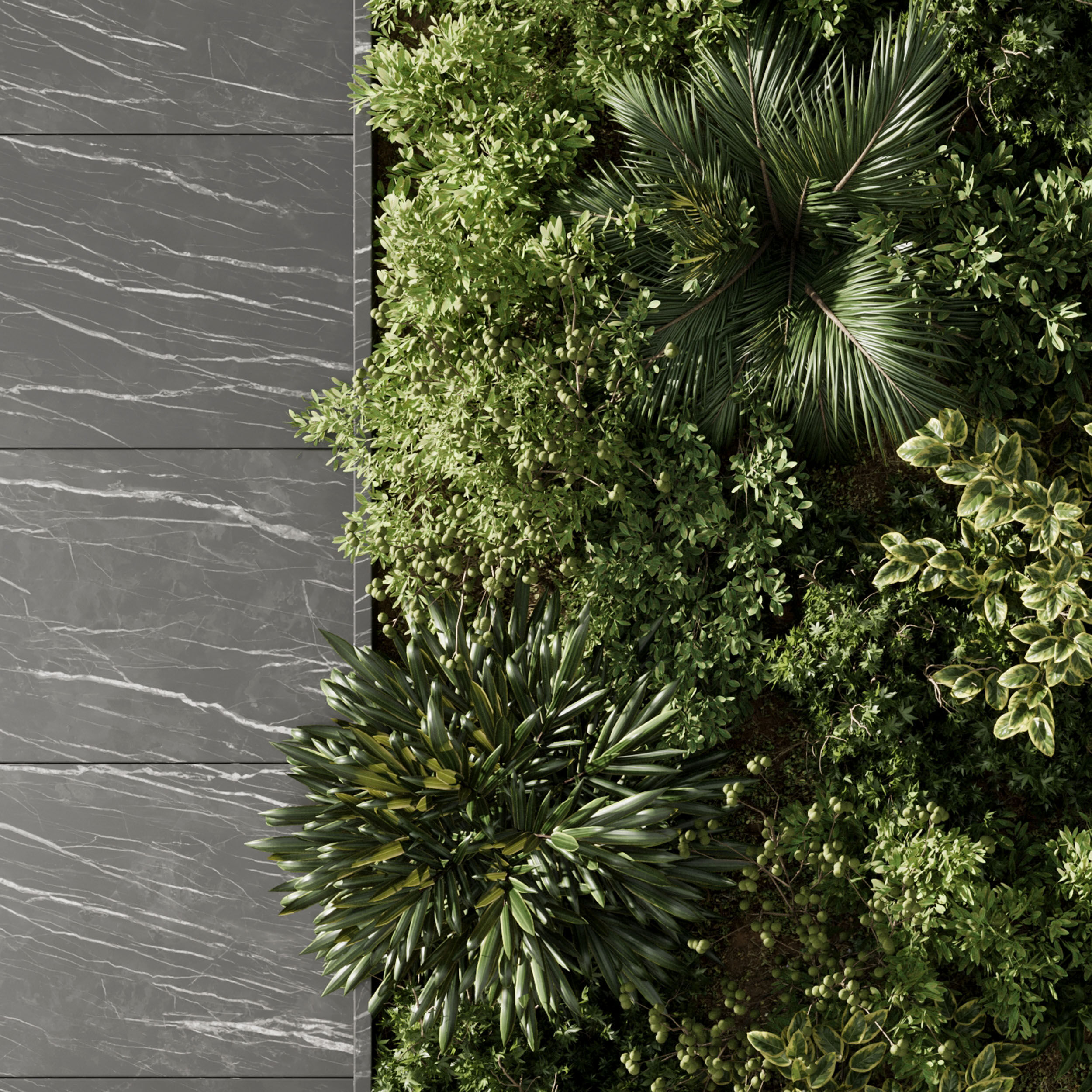 Plants set partition - Vertical Wall Garden With marble f 104 3D model_4