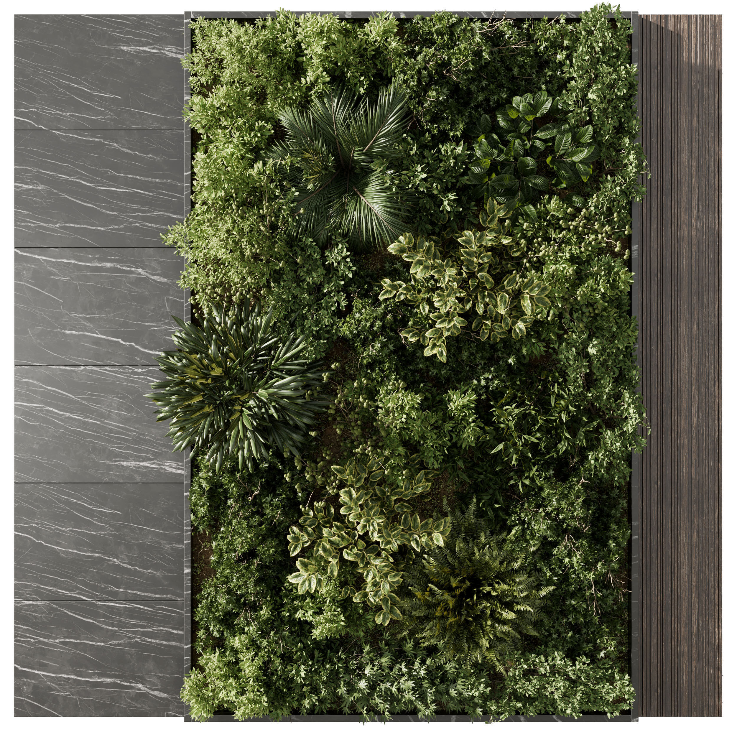 Plants set partition - Vertical Wall Garden With marble f 104 3D model_1