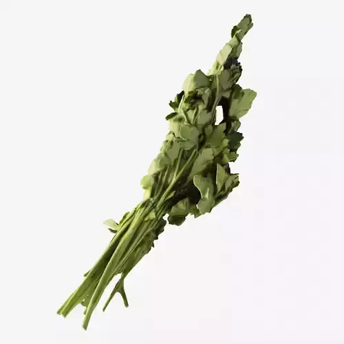 Scanned a bunch of parsley