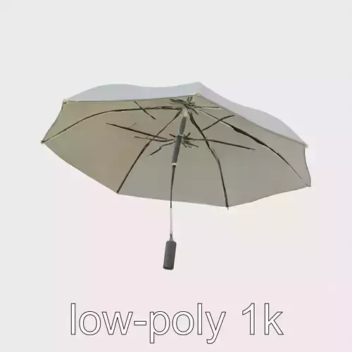 Smart Umbrella with Weather Forecast Display