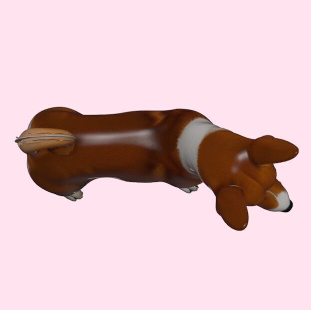 Basenji Dog 3D print model_4