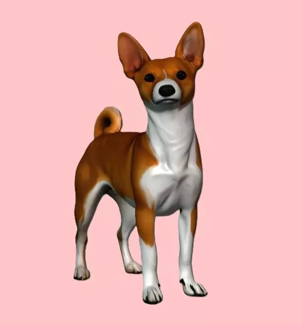 Basenji Dog 3D print model_0