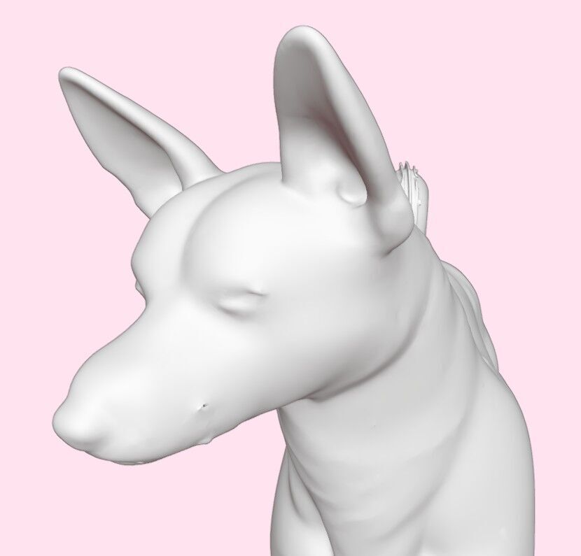 Basenji Dog 3D print model_7