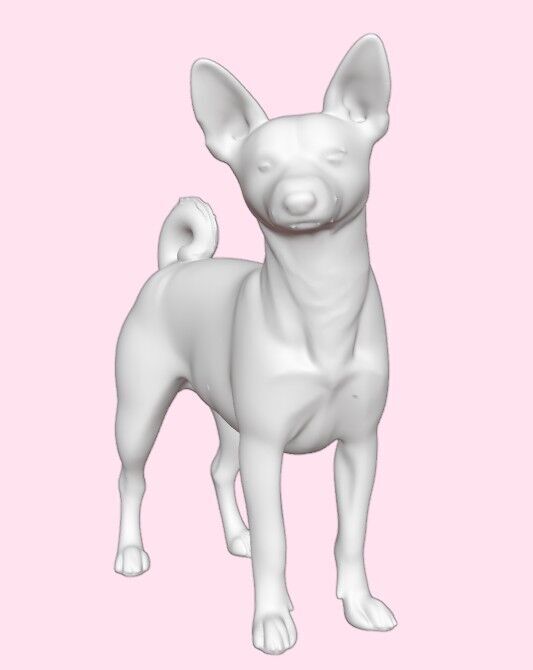 Basenji Dog 3D print model_6
