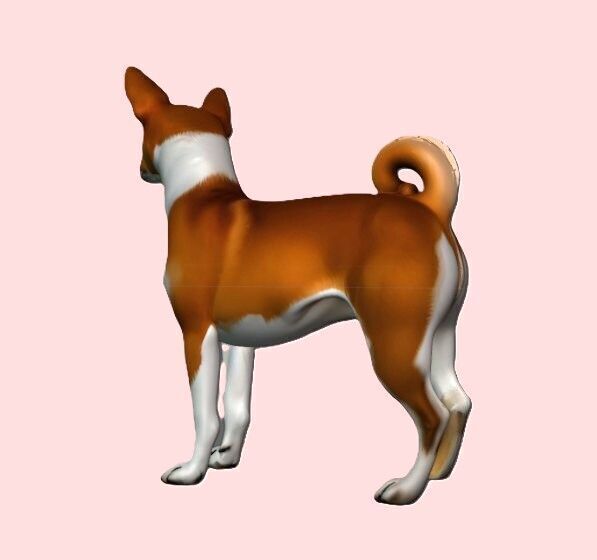 Basenji Dog 3D print model_3