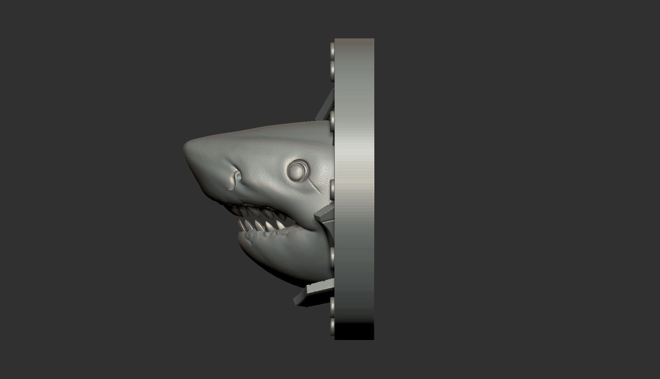 Shark Animal Wall Art 3D print model_4
