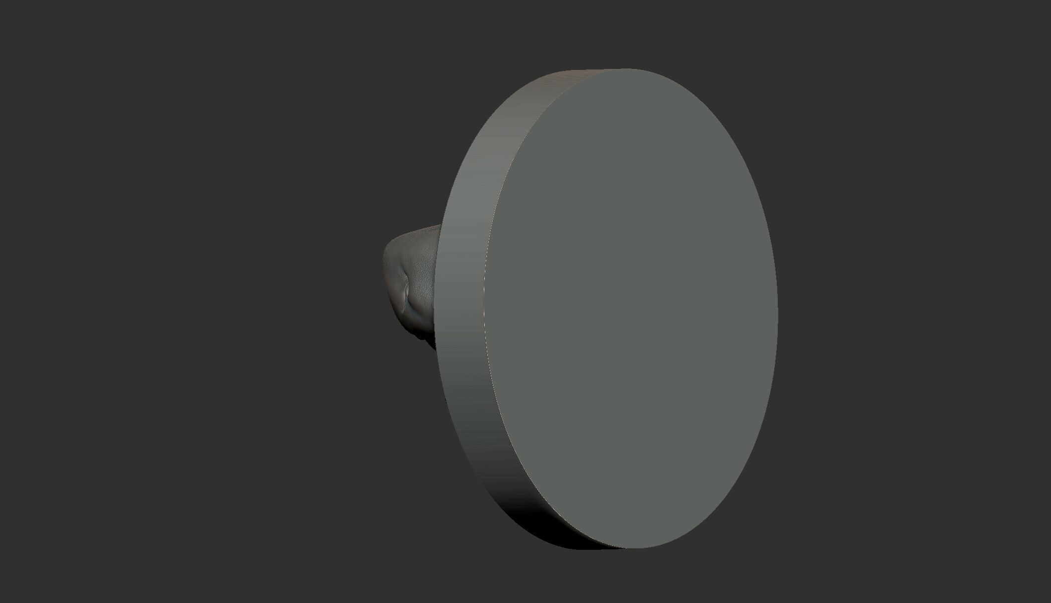 Shark Animal Wall Art 3D print model_5