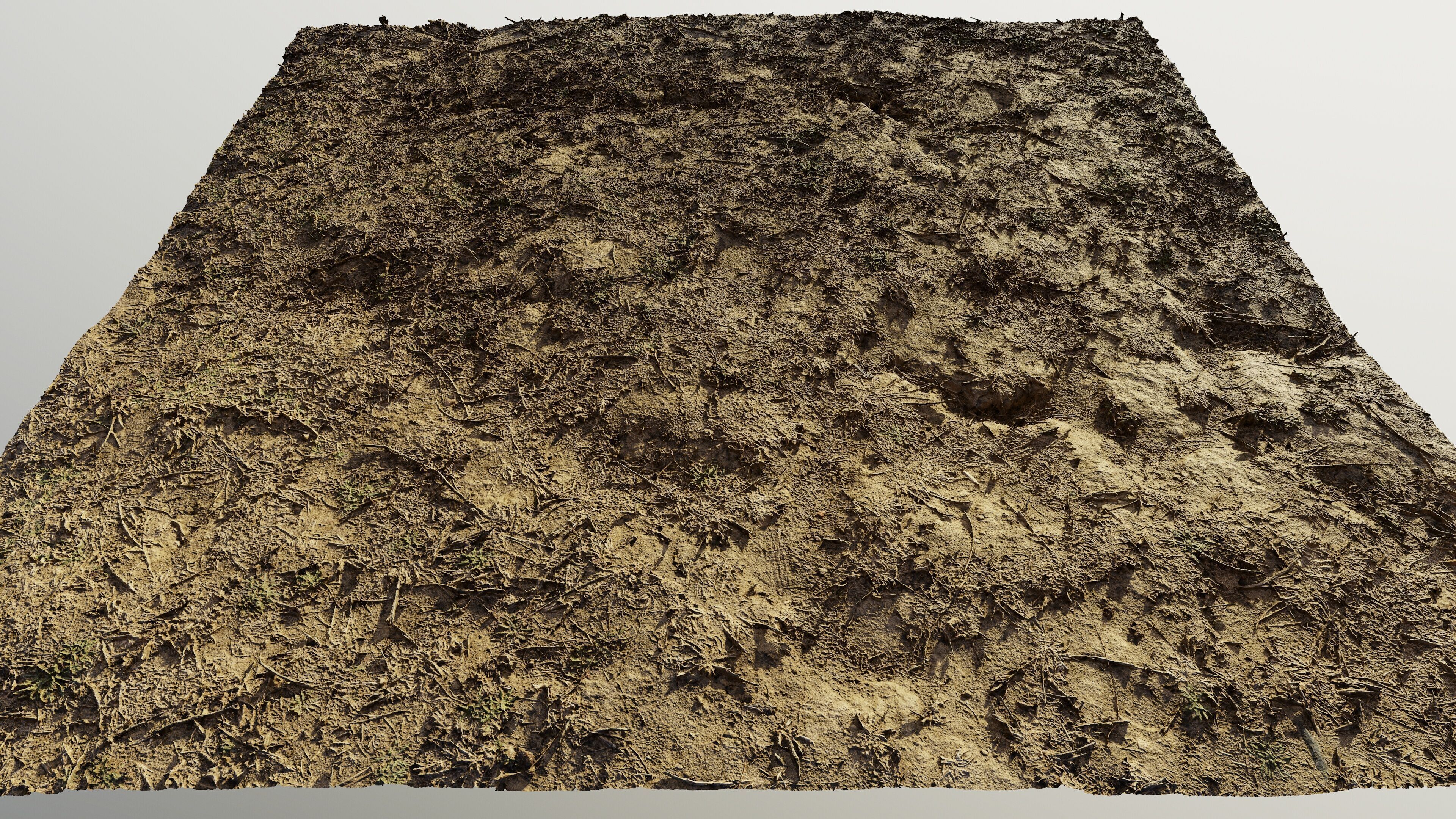 autumngrassdirt06102024 3D model_4