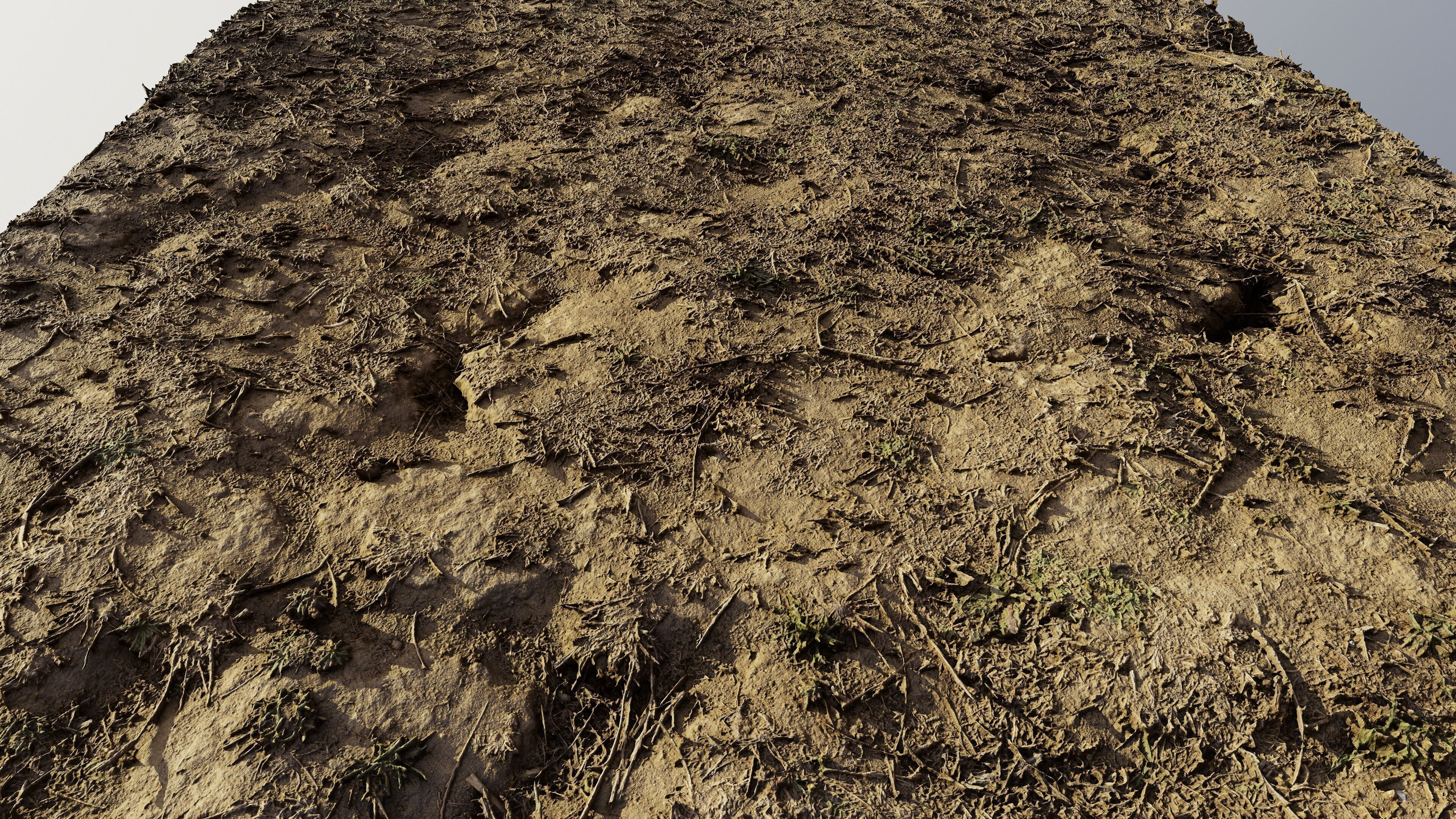 autumngrassdirt06102024 3D model_9