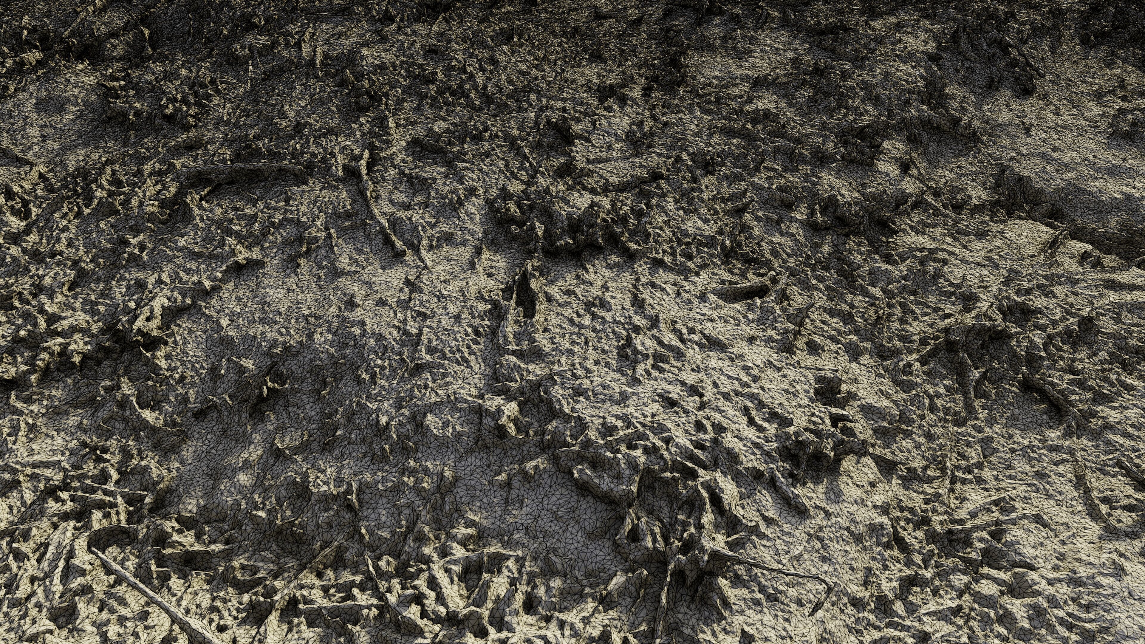 autumngrassdirt06102024 3D model_10