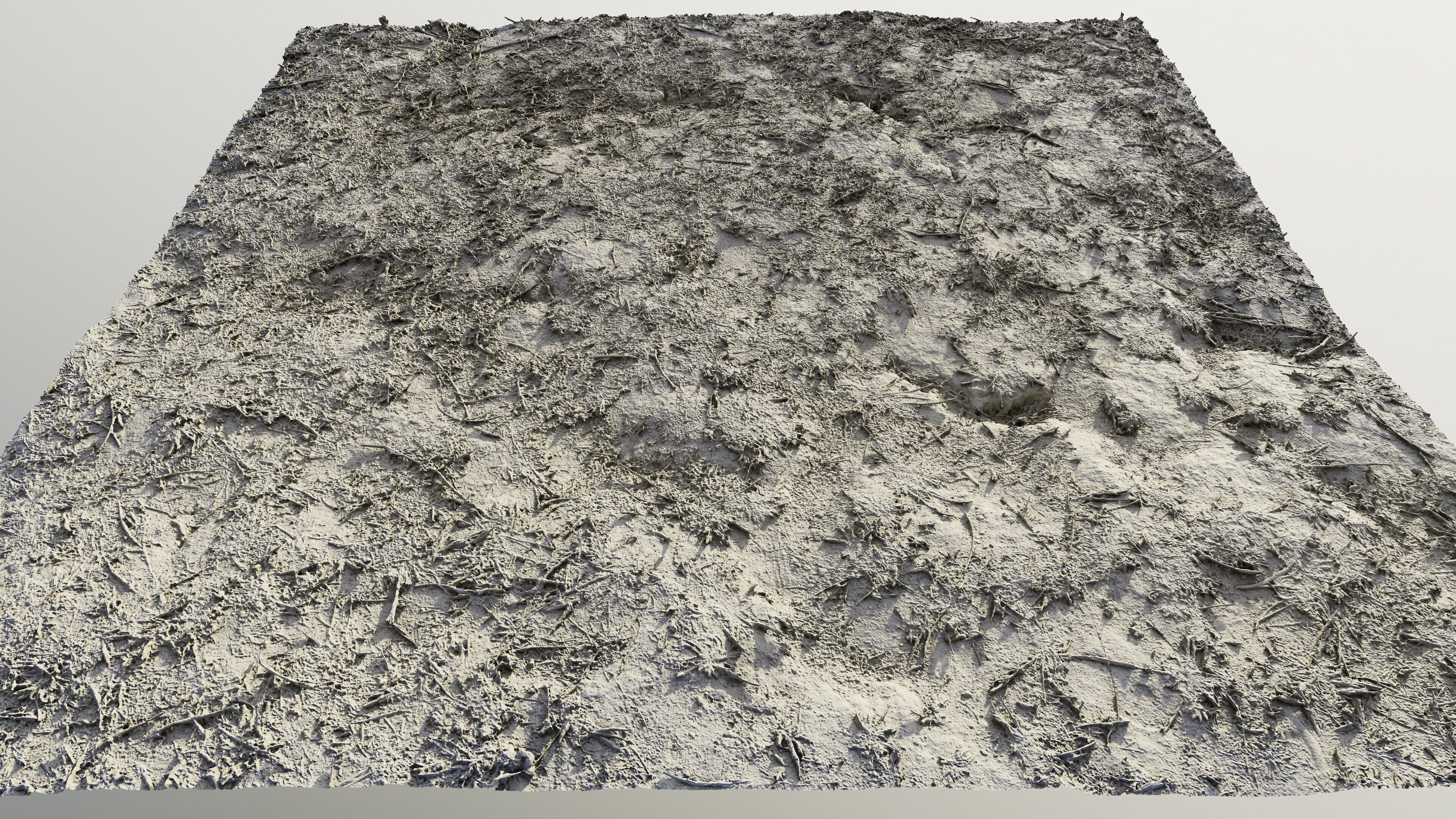 autumngrassdirt06102024 3D model_7