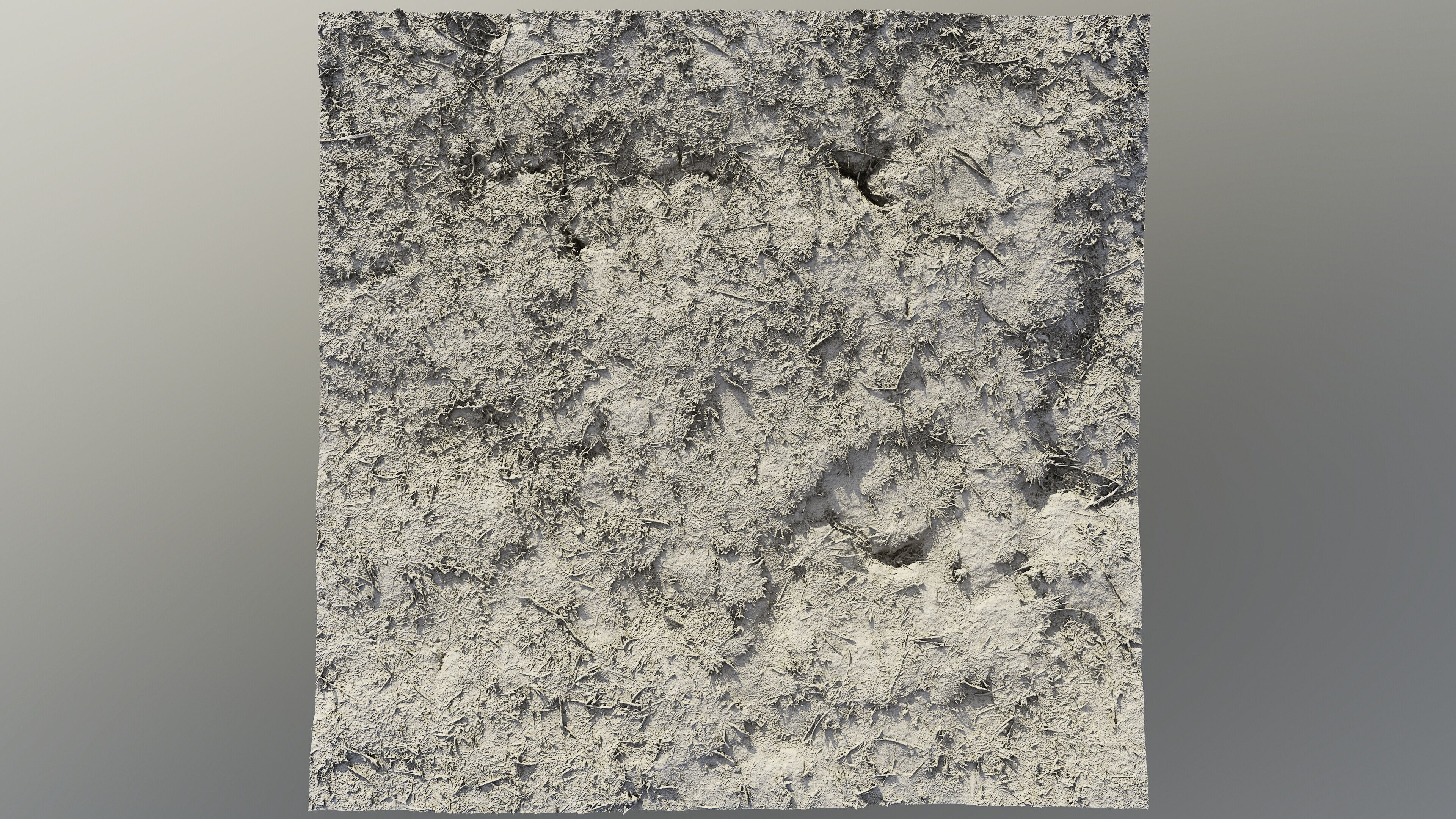 autumngrassdirt06102024 3D model_12