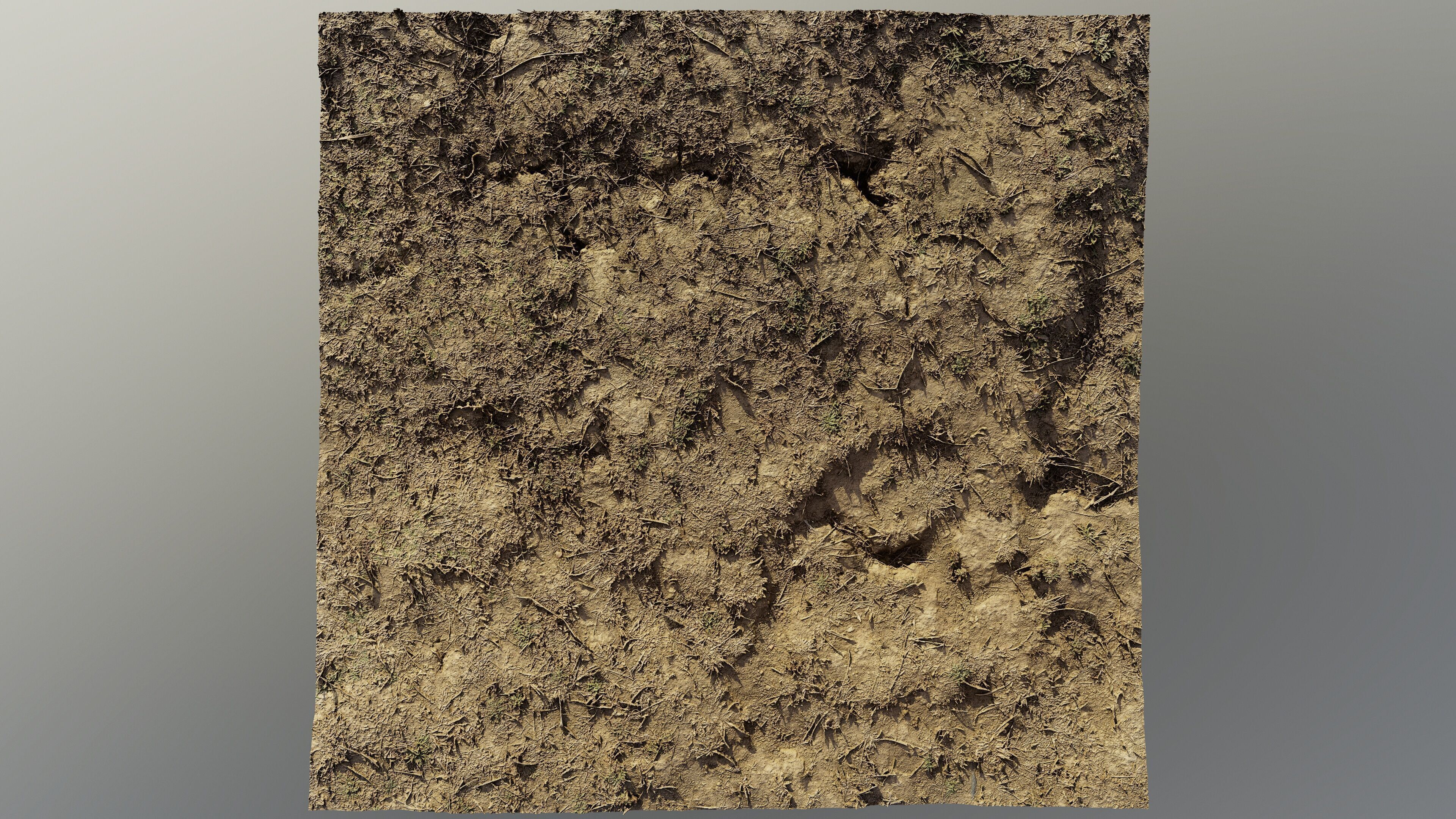 autumngrassdirt06102024 3D model_2