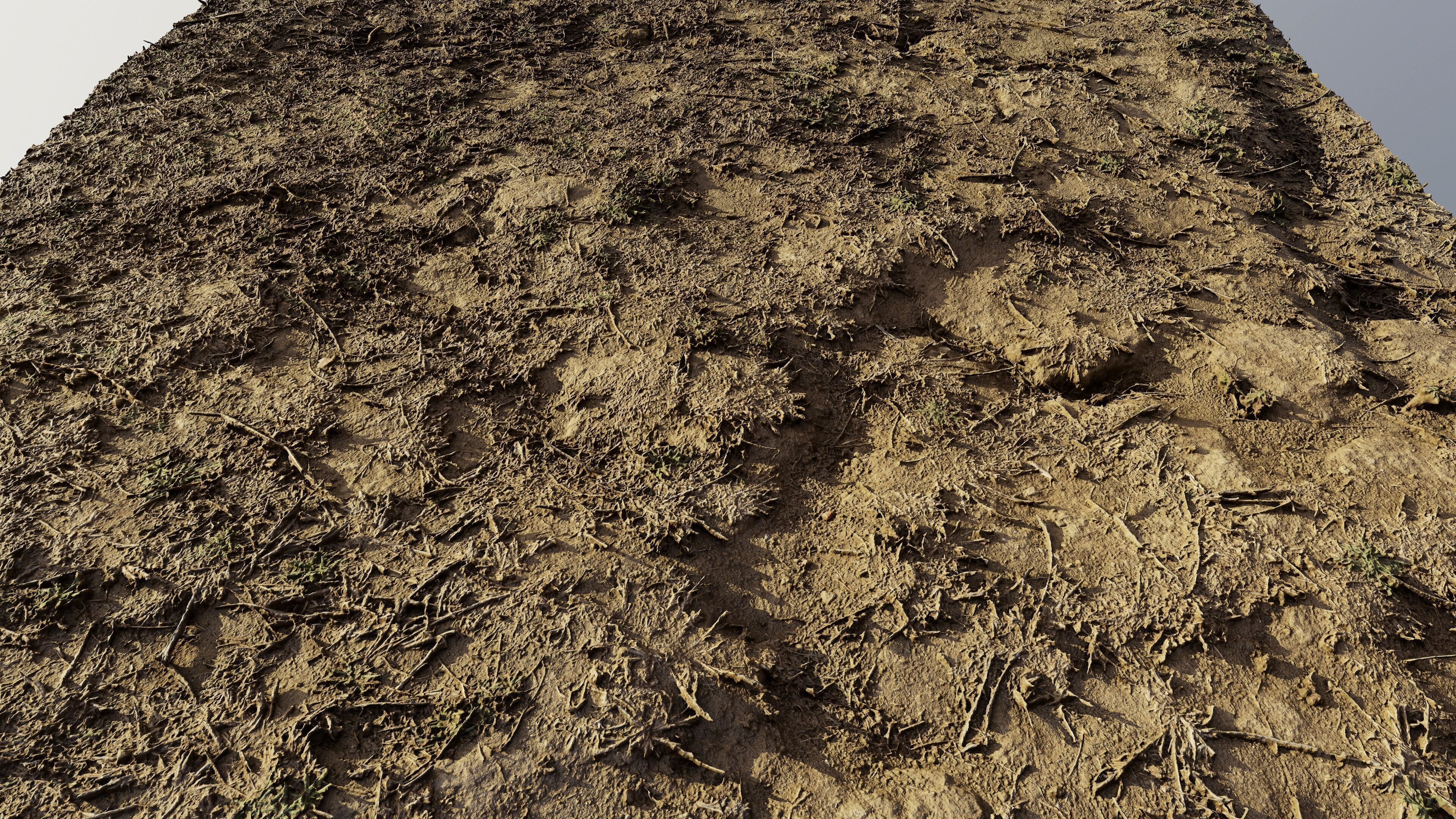 autumngrassdirt06102024 3D model_5
