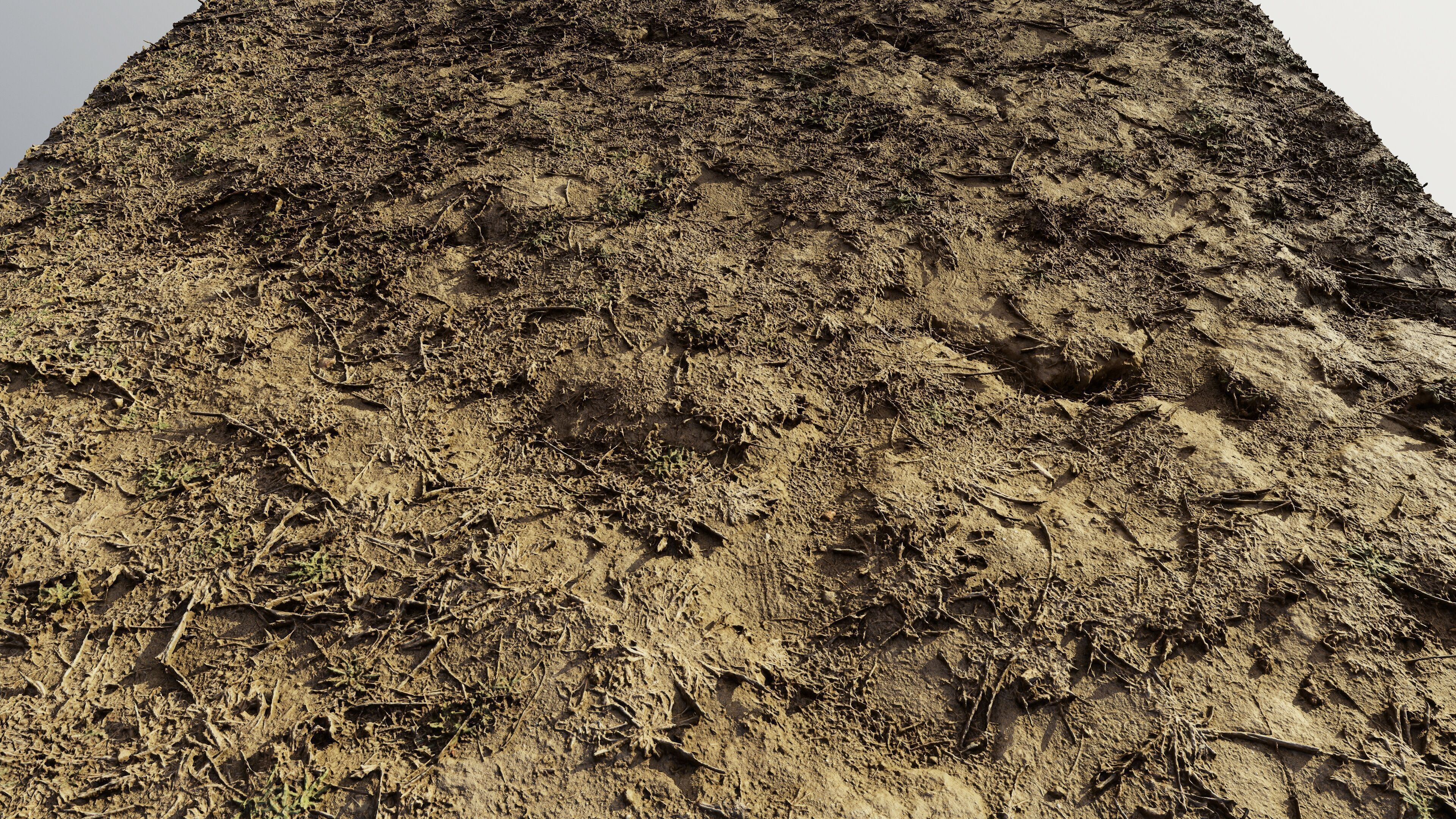 autumngrassdirt06102024 3D model_6