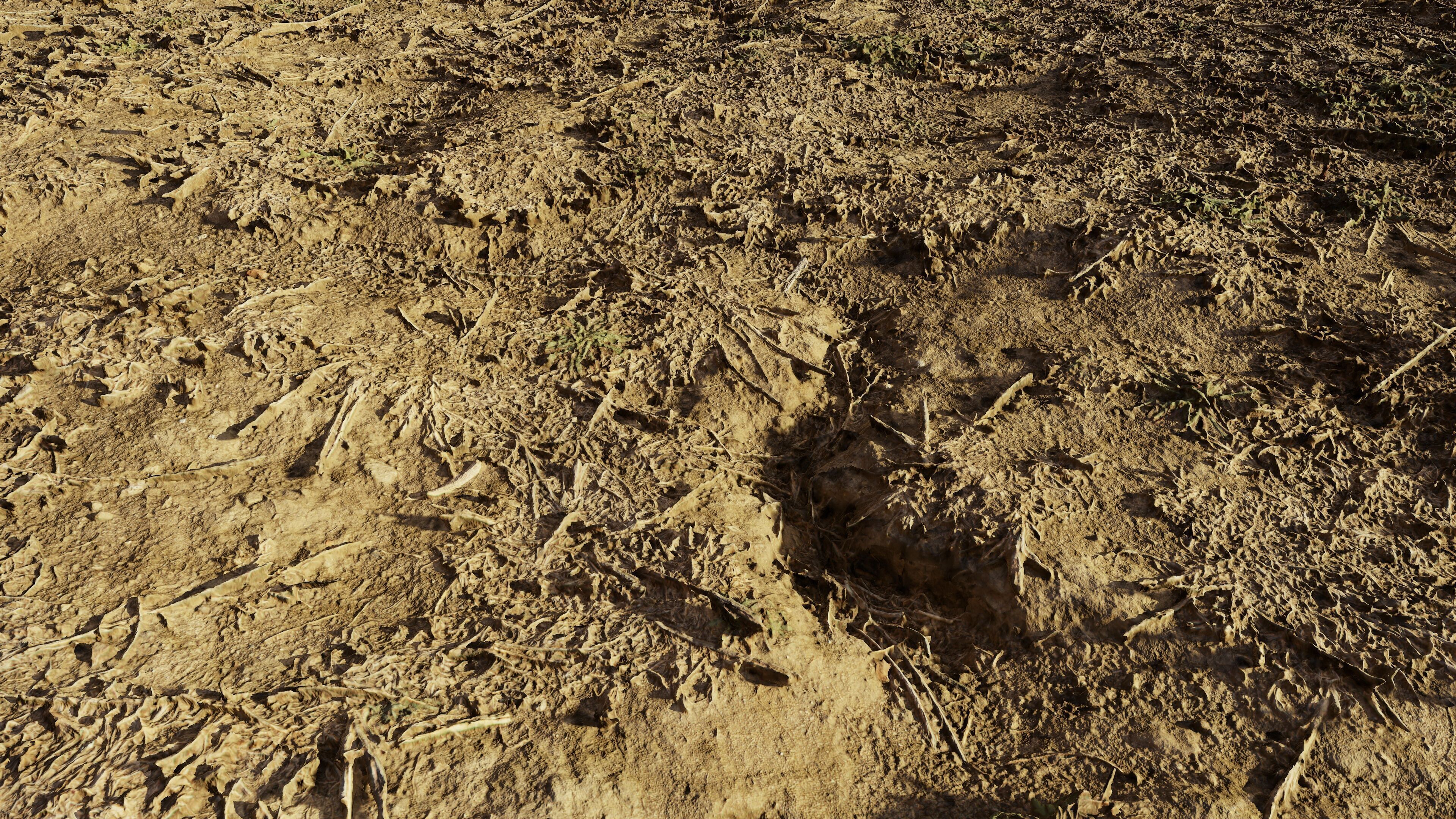 autumngrassdirt06102024 3D model_3