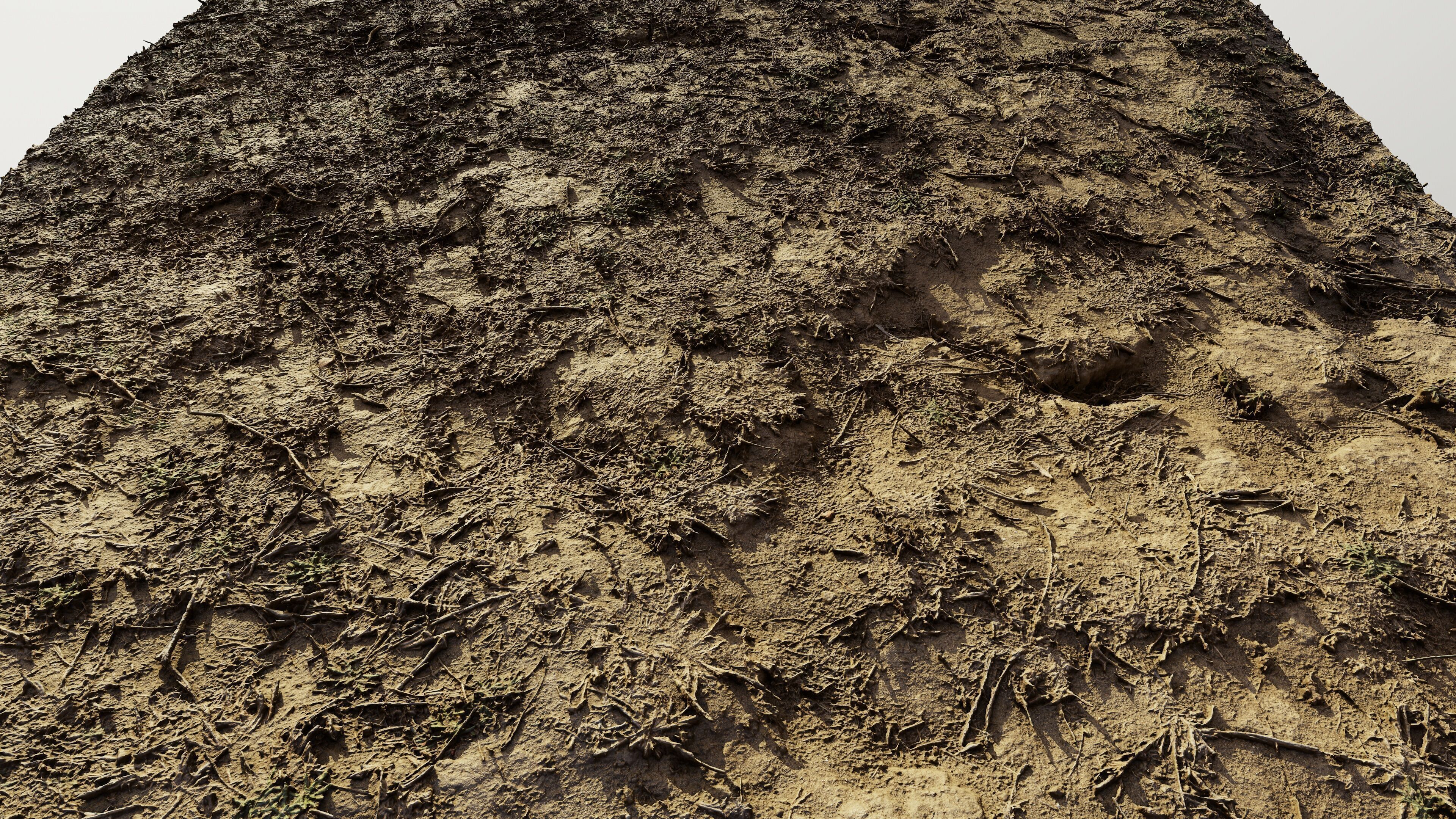 autumngrassdirt06102024 3D model_8