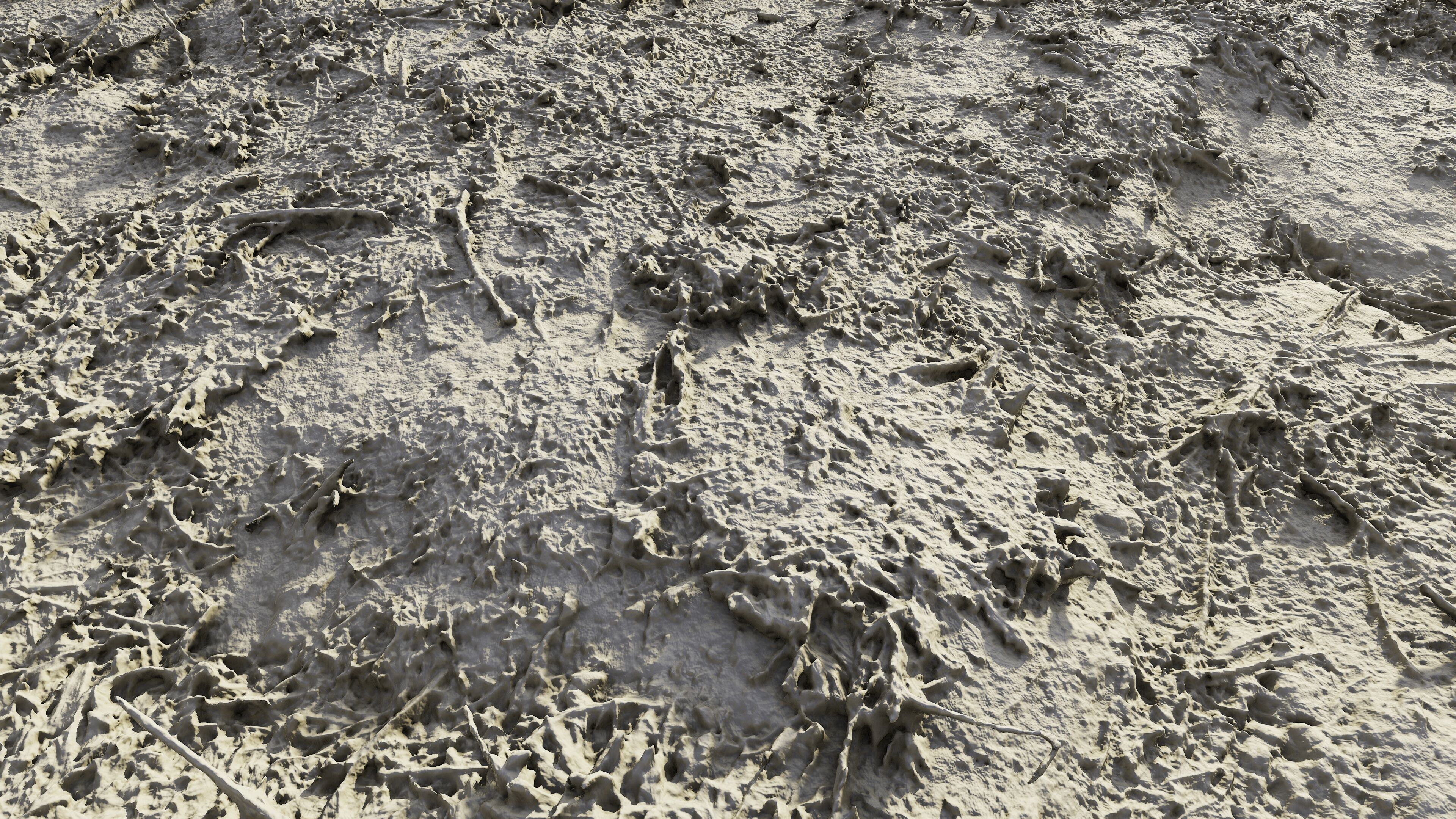 autumngrassdirt06102024 3D model_11