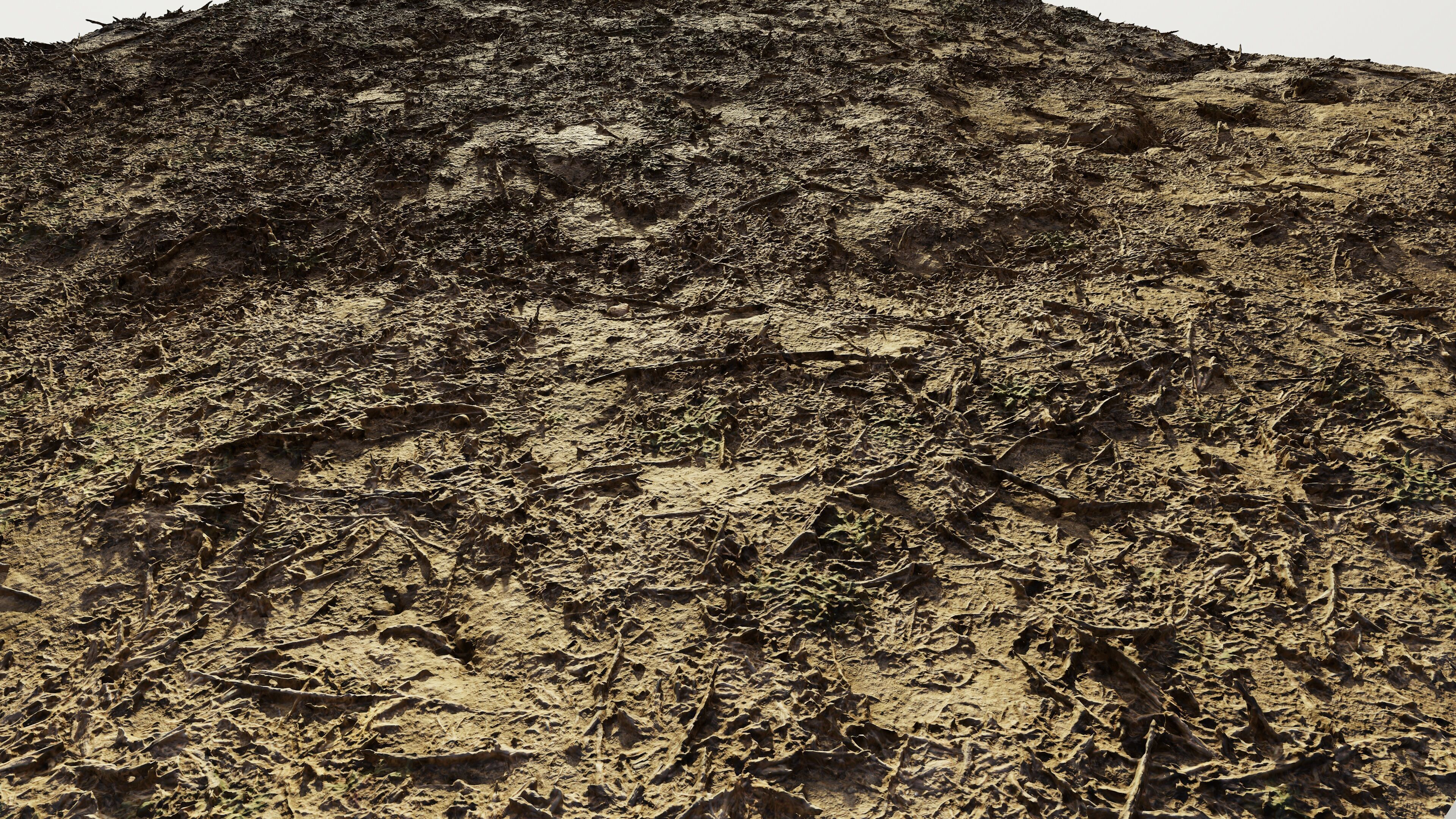 autumngrassdirt06102024 3D model_1