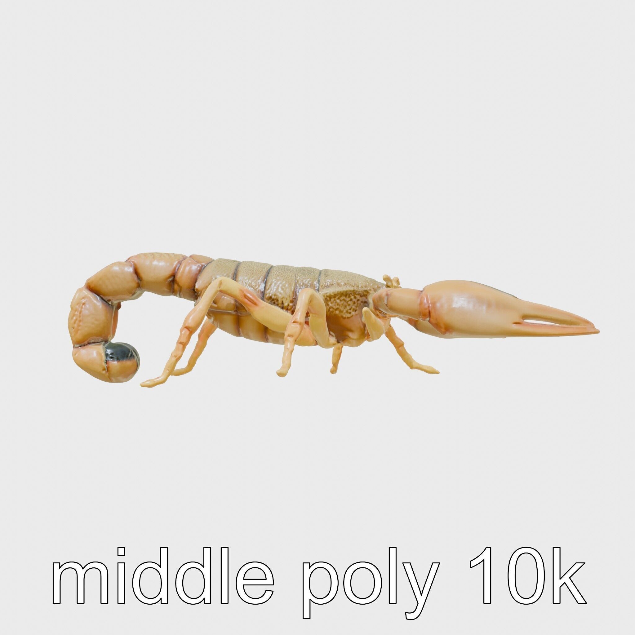 Desert Scorpion Guardian with Energetic Tail and Radar Eyes Low-poly 3D model_19