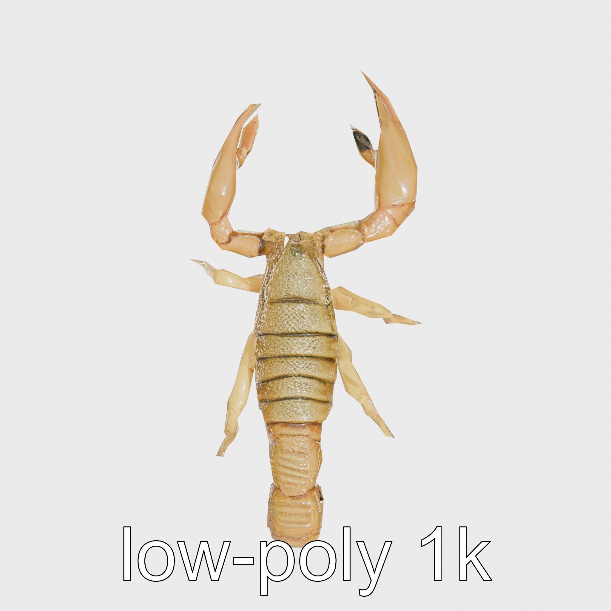Desert Scorpion Guardian with Energetic Tail and Radar Eyes Low-poly 3D model_22