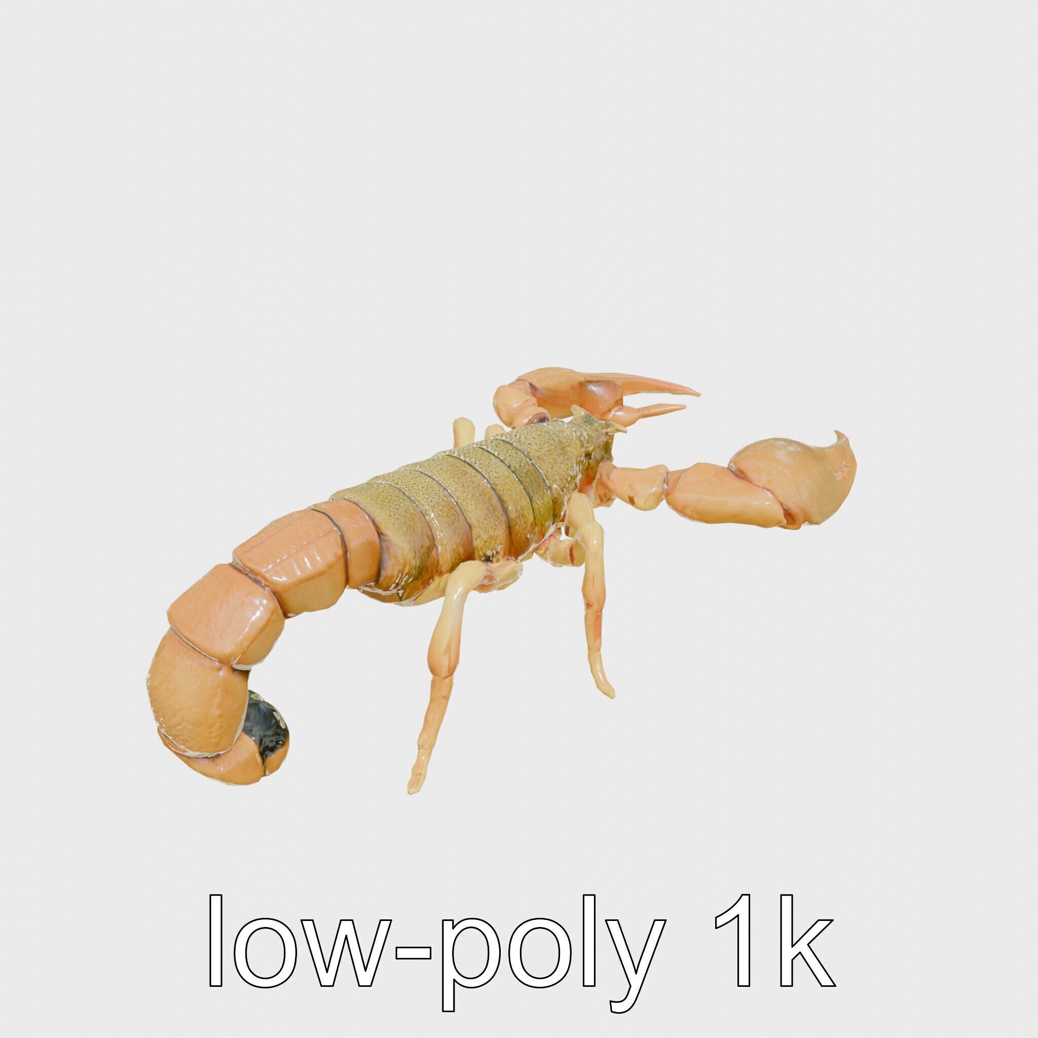 Desert Scorpion Guardian with Energetic Tail and Radar Eyes Low-poly 3D model_9