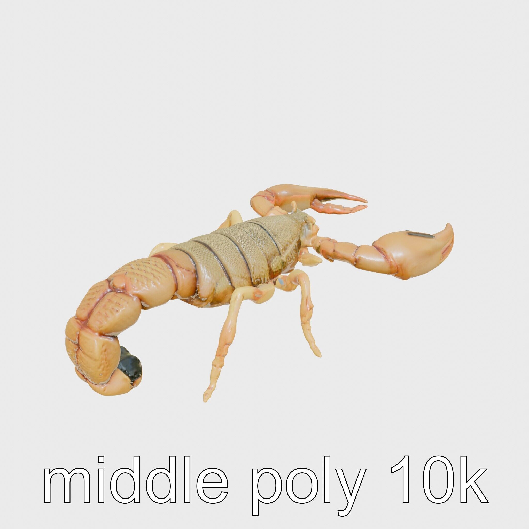 Desert Scorpion Guardian with Energetic Tail and Radar Eyes Low-poly 3D model_8