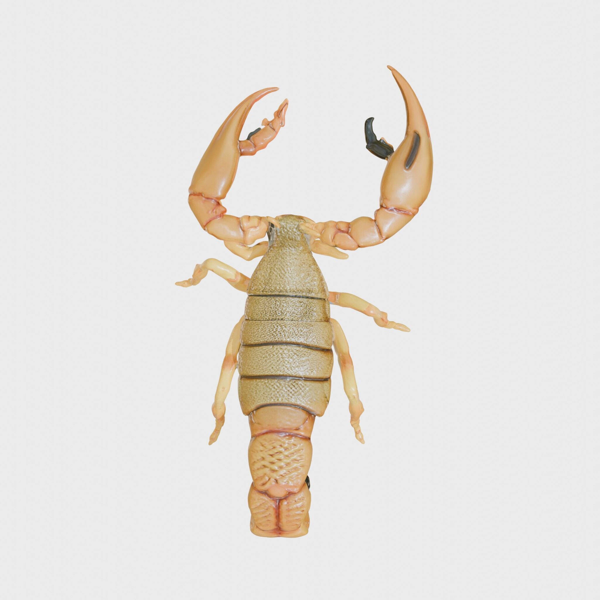 Desert Scorpion Guardian with Energetic Tail and Radar Eyes Low-poly 3D model_14