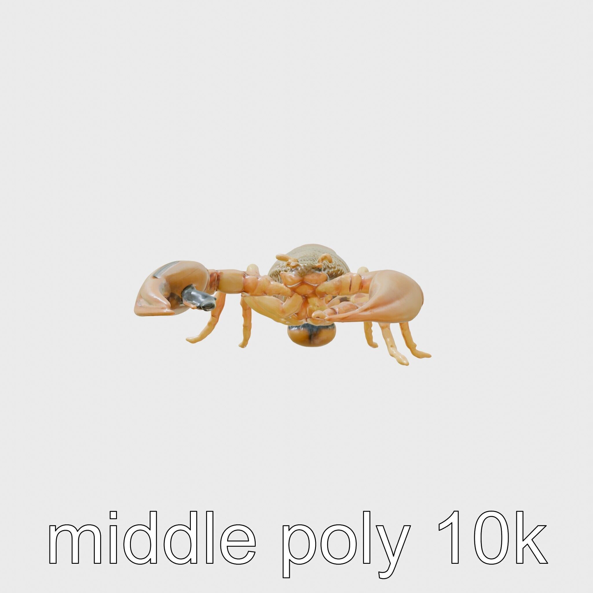 Desert Scorpion Guardian with Energetic Tail and Radar Eyes Low-poly 3D model_2