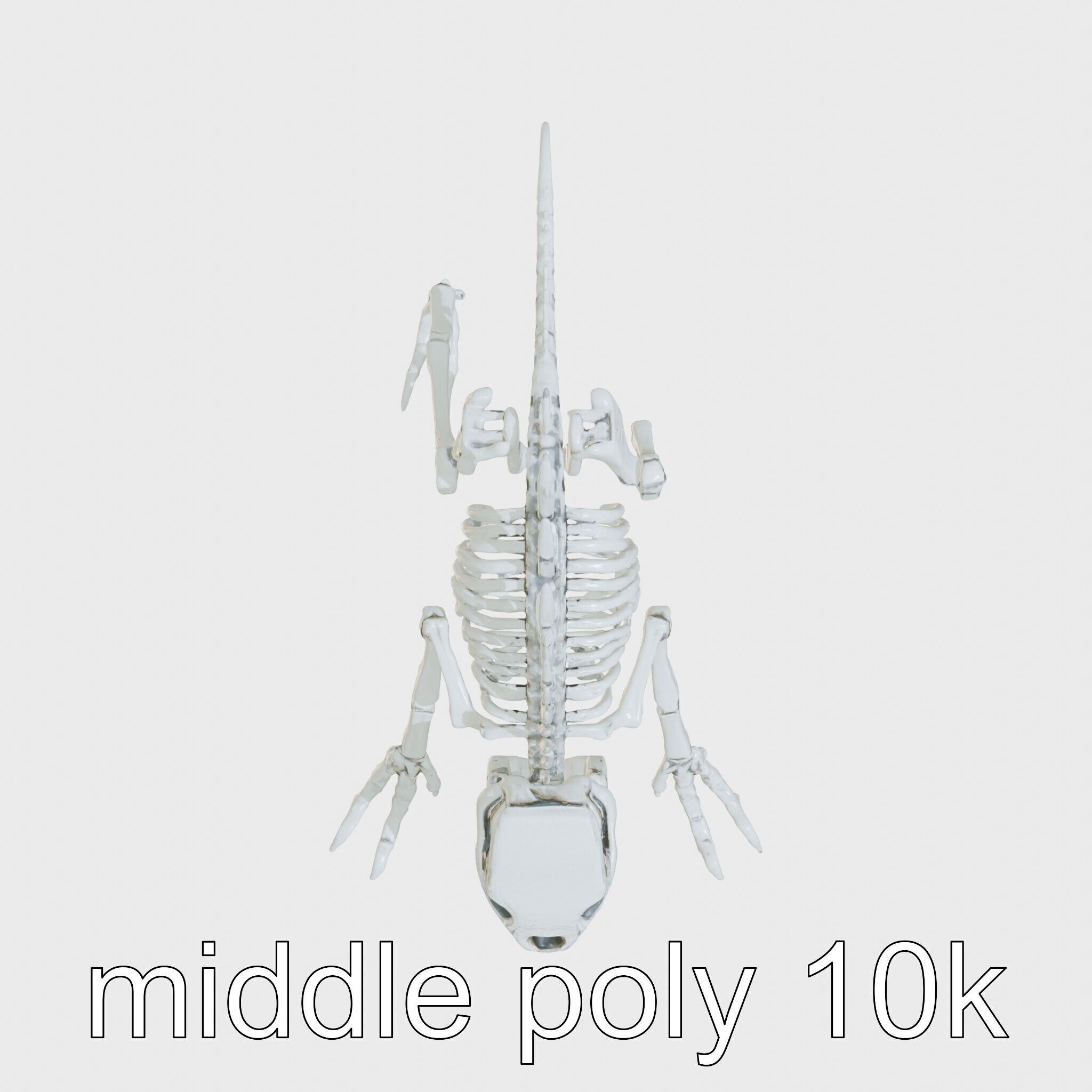 Cybernetic Dinosaur Skeleton with Laser Eyes Low-poly 3D model_25