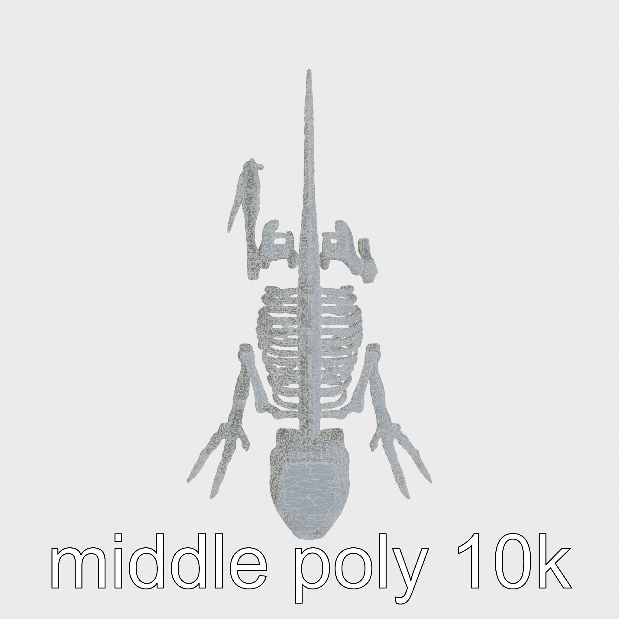 Cybernetic Dinosaur Skeleton with Laser Eyes Low-poly 3D model_29