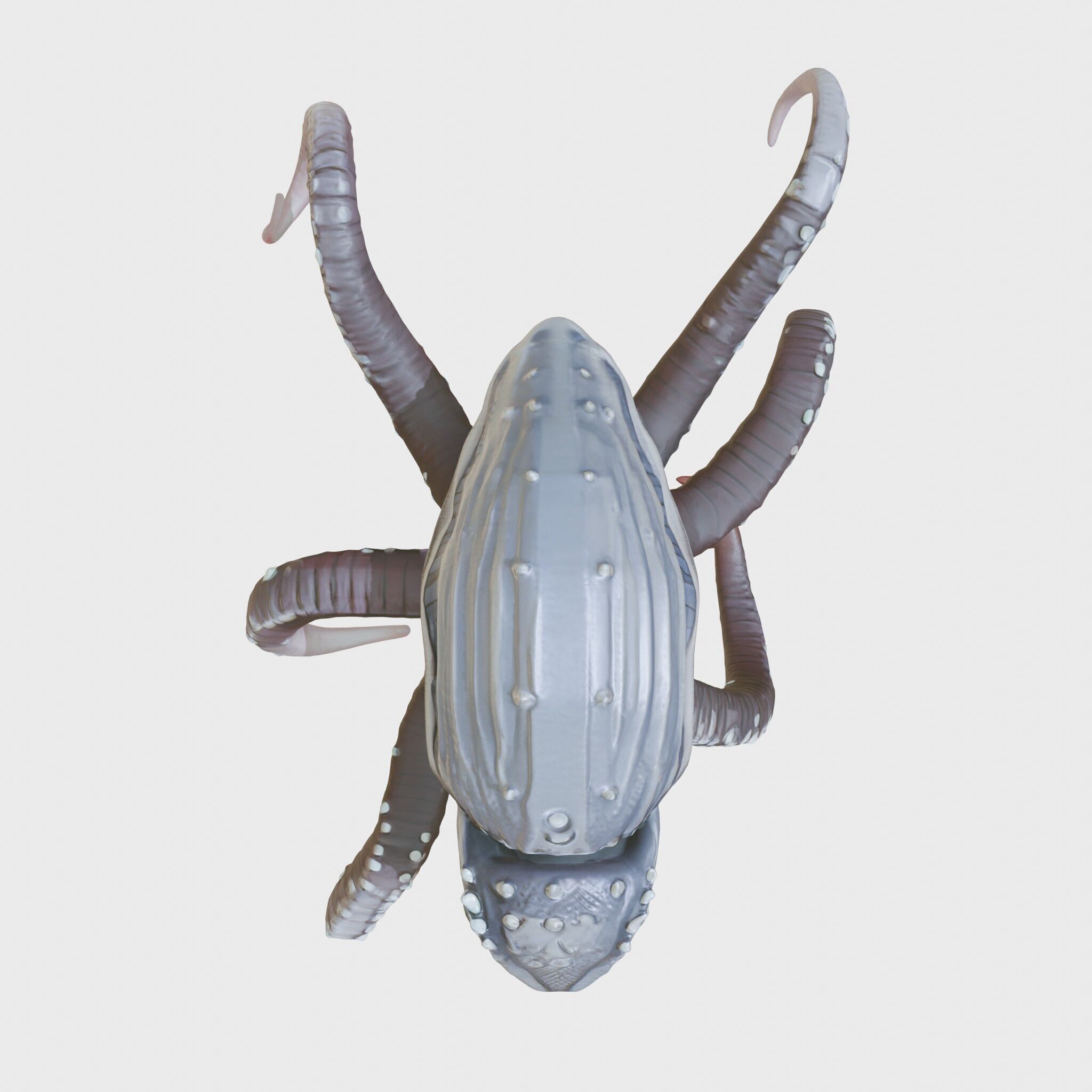 Bioluminescent Tentacle Creature with Multi-Limbed Body Low-poly 3D model_8