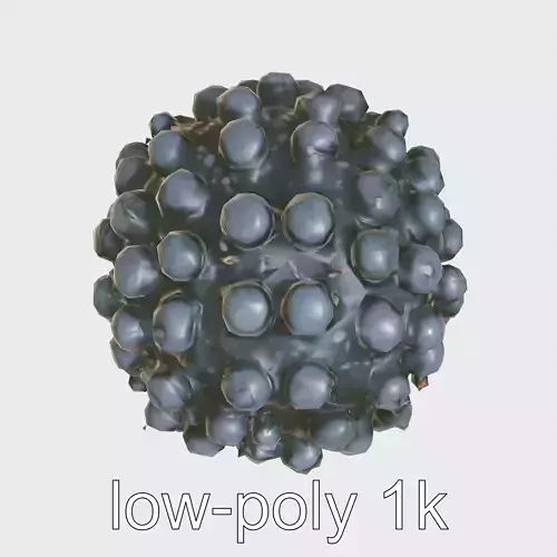 Insectoid Creature with Multiple Eyes and Gelatinous Base Low-poly 3D model