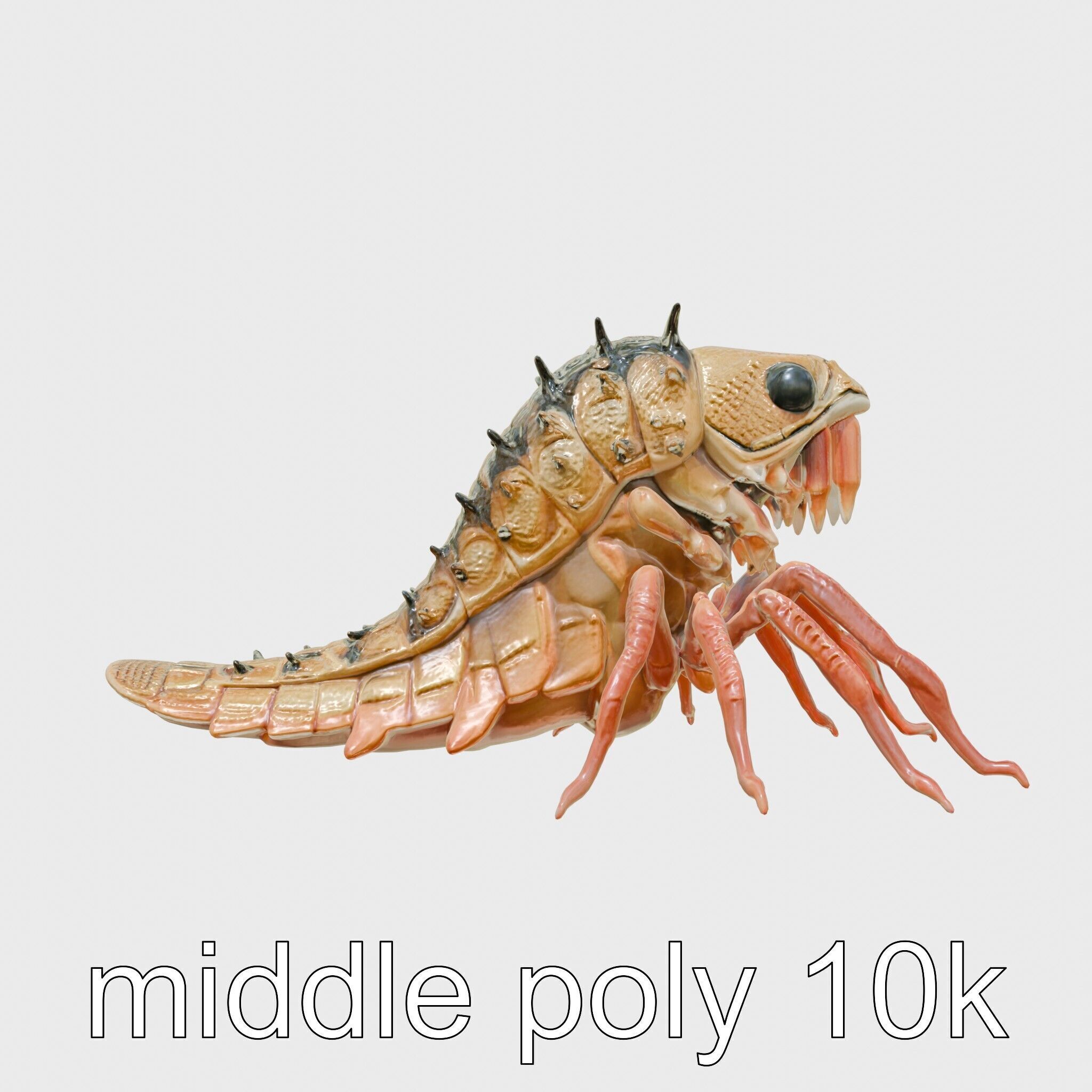 Insectoid Monster Creature Model with Spiked Shell Low-poly 3D model_12