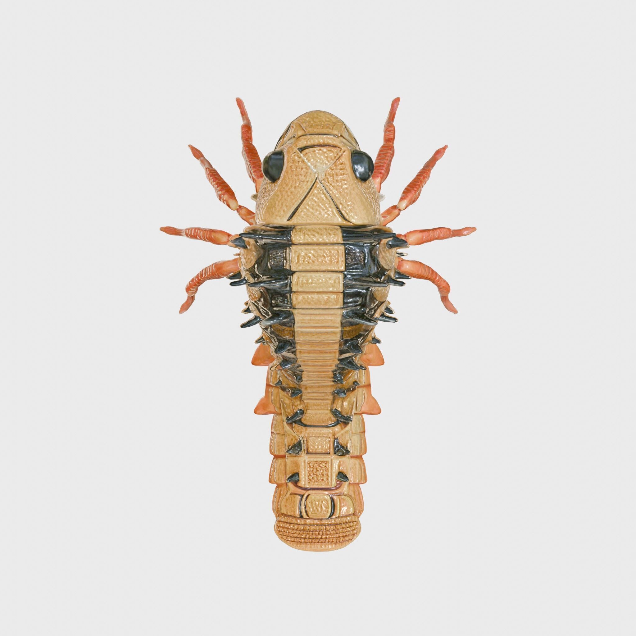 Insectoid Monster Creature Model with Spiked Shell Low-poly 3D model_17