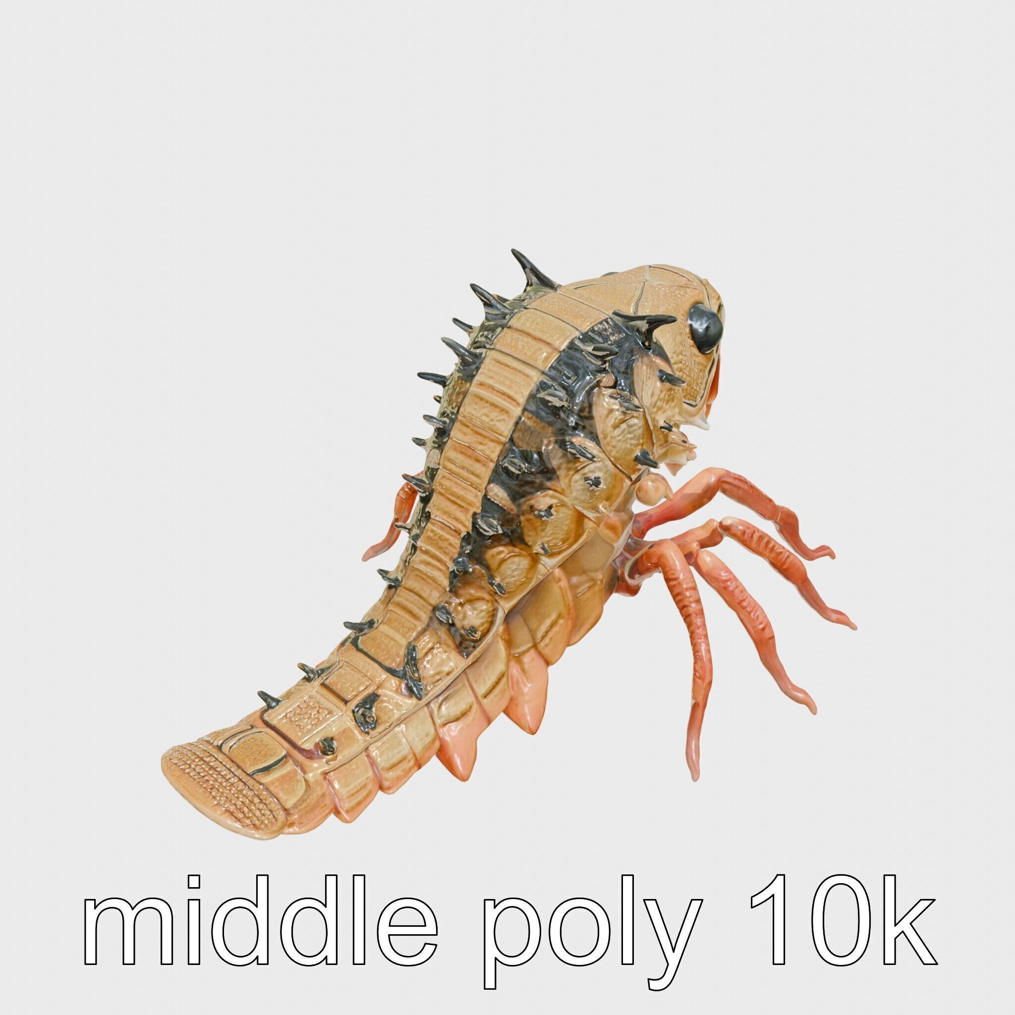 Insectoid Monster Creature Model with Spiked Shell Low-poly 3D model_8
