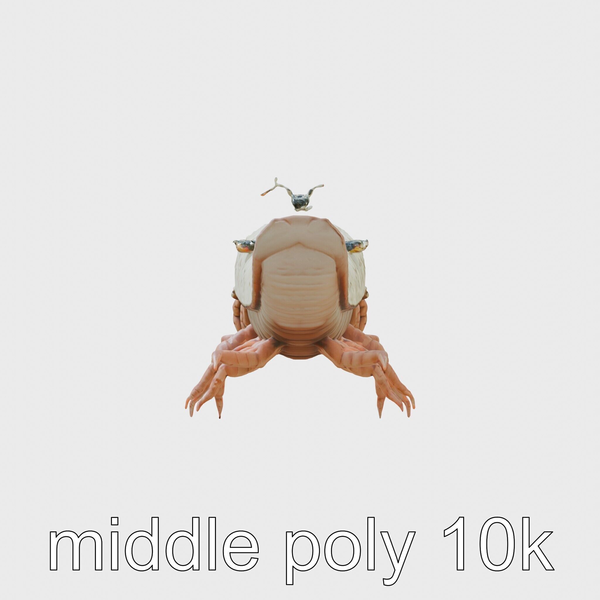 Tentacled Creature with Insect Eyes Low-poly 3D model_2