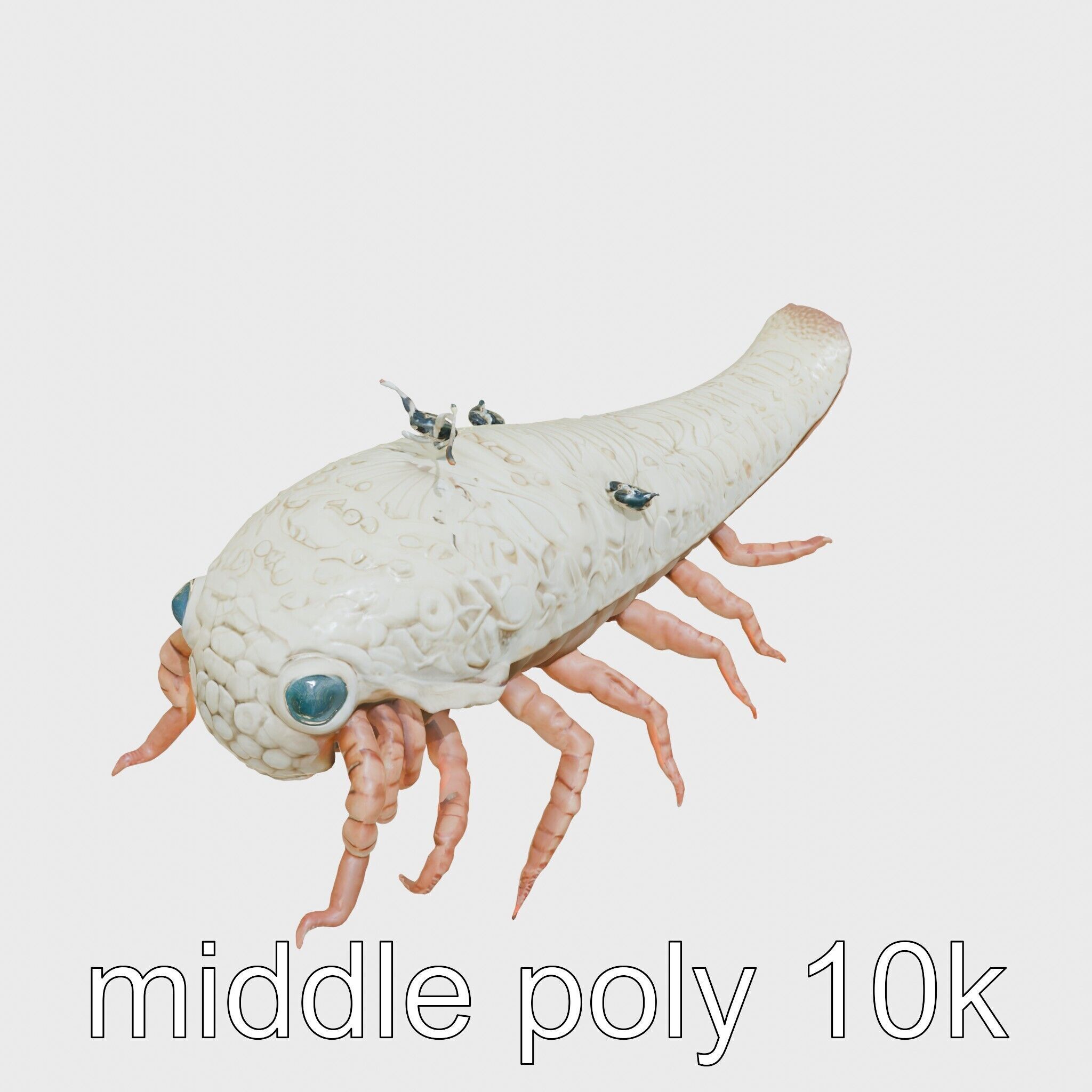 Tentacled Creature with Insect Eyes Low-poly 3D model_8