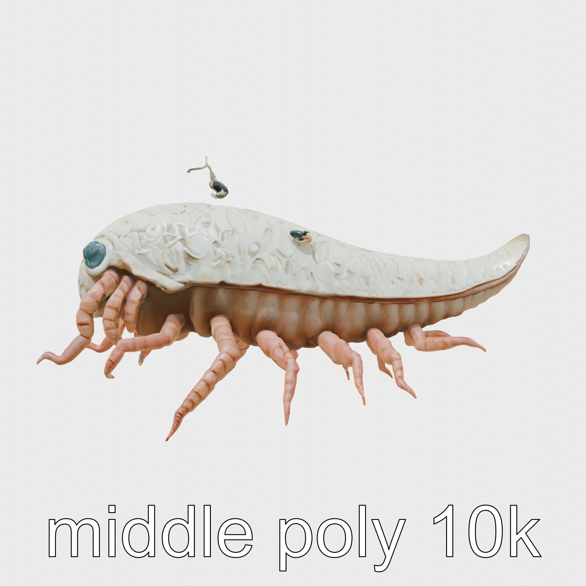 Tentacled Creature with Insect Eyes Low-poly 3D model_29